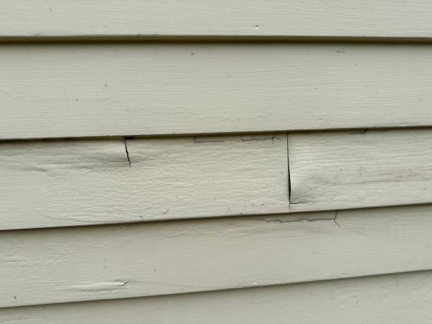 Affordable siding repair and maintenance services in Menasha, WI